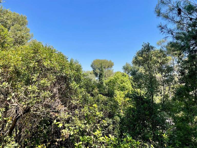 Terrain Castelnau-le-Lez - 1000m²