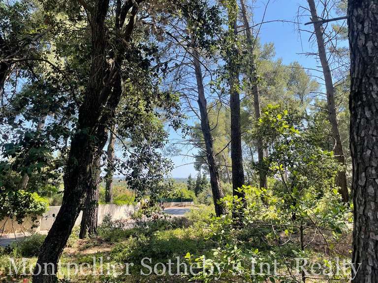 Land Castelnau-le-Lez - 1000m²