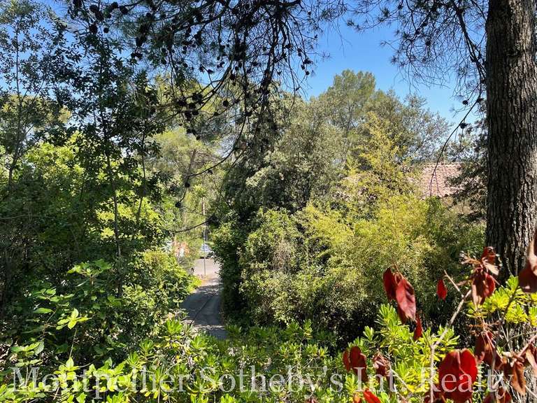 Land Castelnau-le-Lez - 1000m²