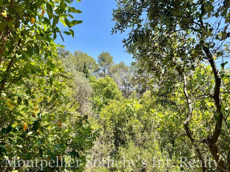 Land Castelnau-le-Lez - 1000m²