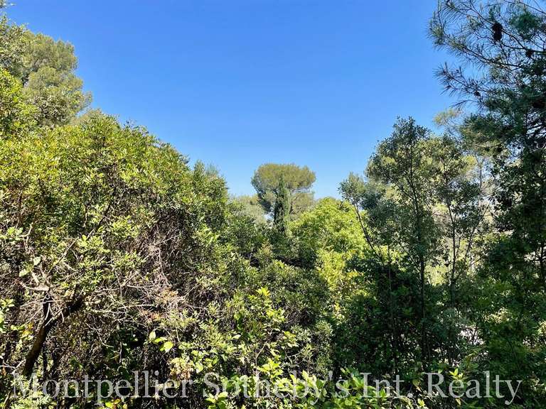 Land Castelnau-le-Lez - 1000m²