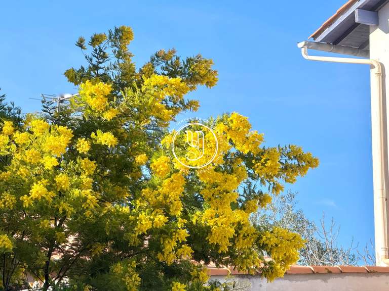 Villa Castelnau-le-Lez - 7 chambres - 214m²