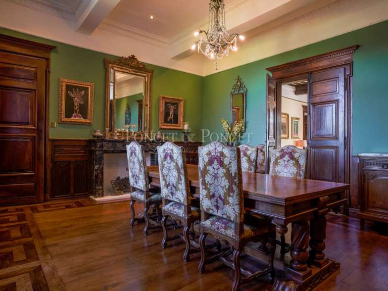 Château Castelnau-Magnoac - 10 chambres - 750m²
