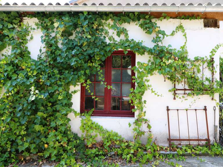 Maison Castelnau-Magnoac - 2 chambres - 238m²