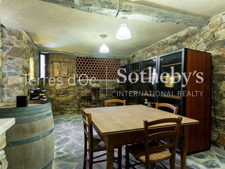 Maison Castelnou - 6 chambres - 340m²