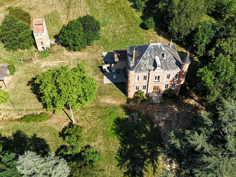Manor Castelsarrasin - 5 bedrooms - 448m²