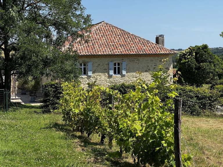 Maison Castéra-Verduzan - 4 chambres - 330m²