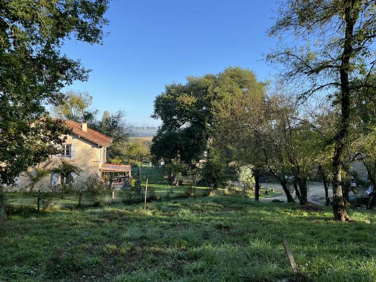 Maison Castéra-Verduzan - 356m²