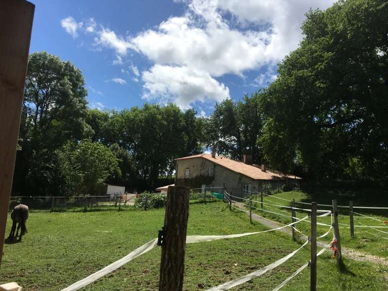 Maison Castéra-Verduzan - 356m²