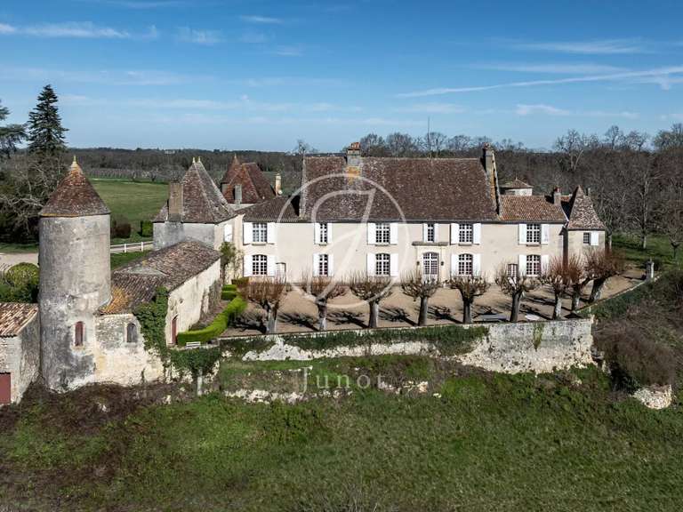 Château Castillon-la-Bataille - 8 chambres - 1749m²