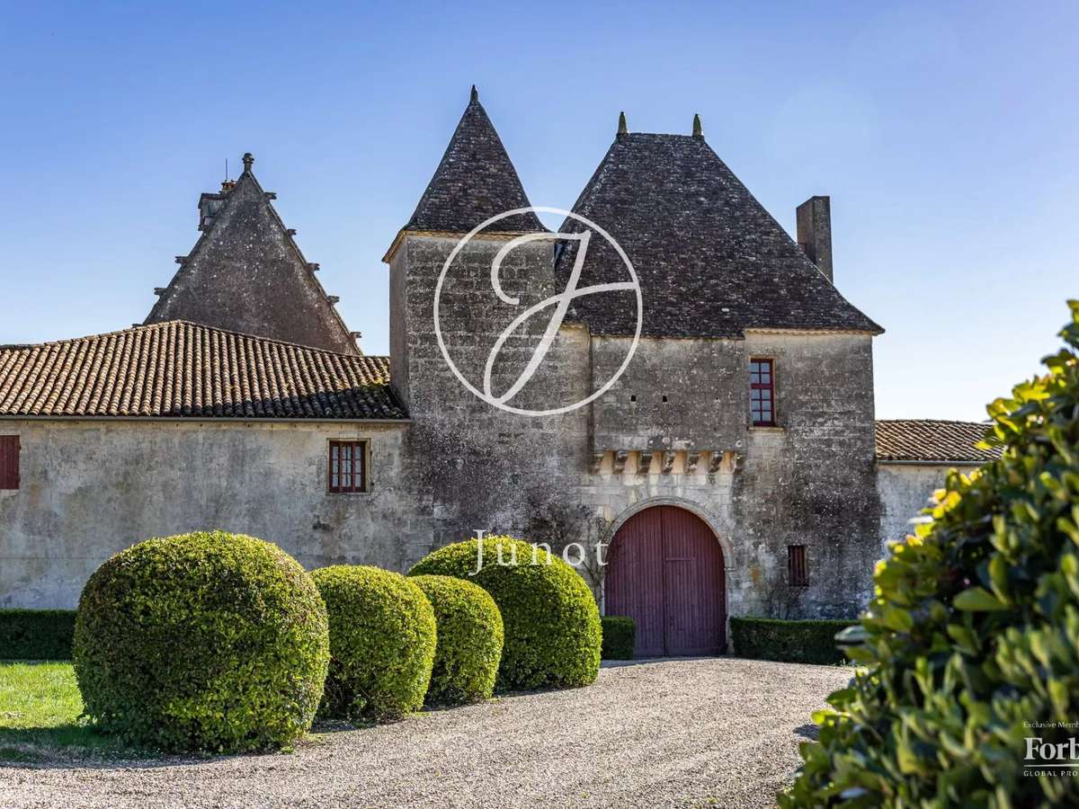 Castle Castillon-la-Bataille