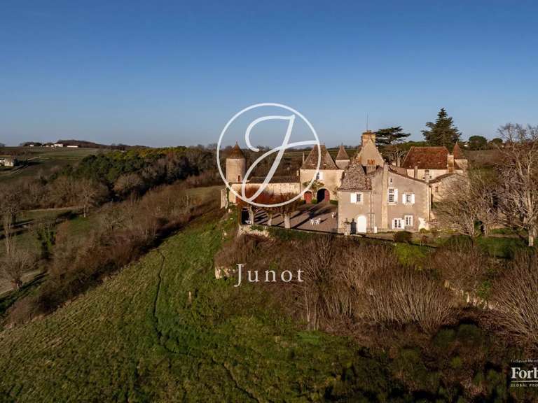 Château Castillon-la-Bataille - 8 chambres - 1749m²