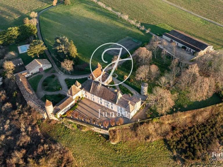 Château Castillon-la-Bataille - 8 chambres - 1749m²