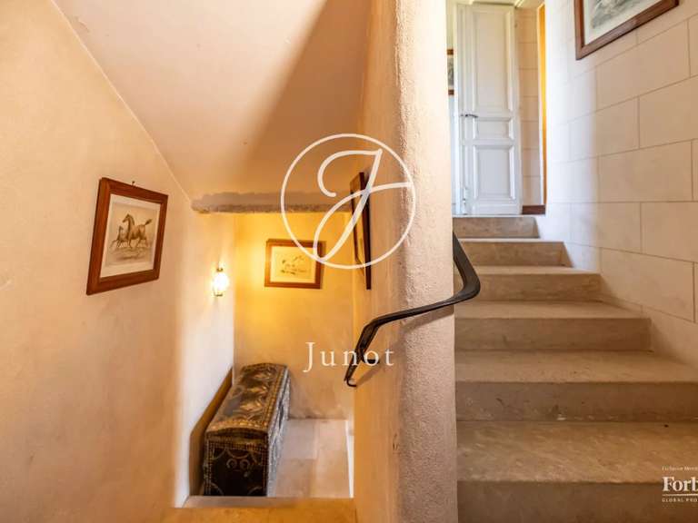 Castle Castillon-la-Bataille - 8 bedrooms - 1749m²