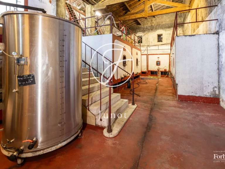 Château Castillon-la-Bataille - 8 chambres - 1749m²