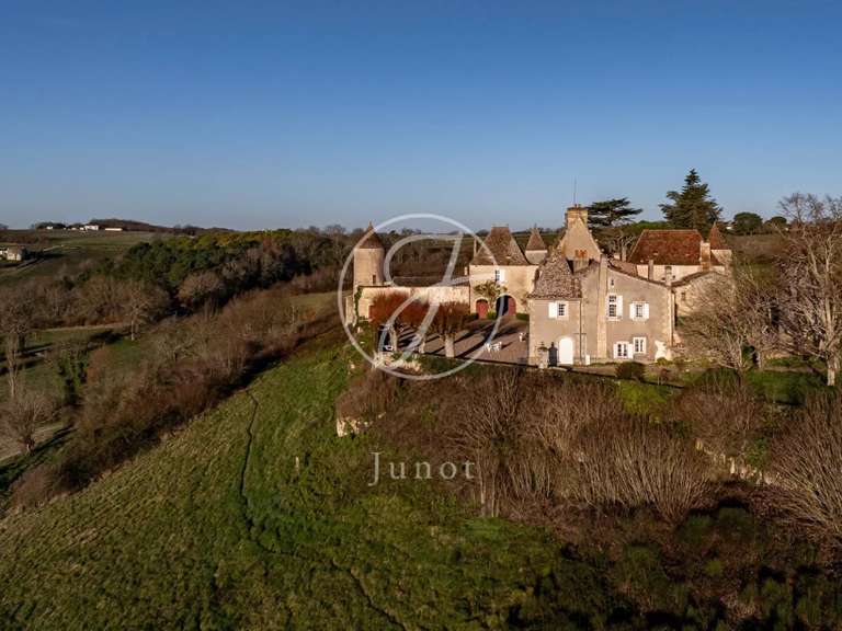 Château Castillon-la-Bataille - 8 chambres - 1749m²