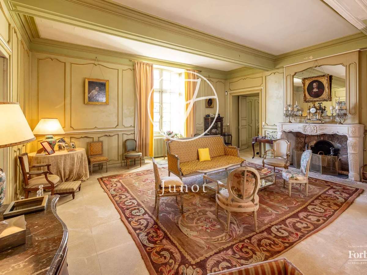 Castle Castillon-la-Bataille