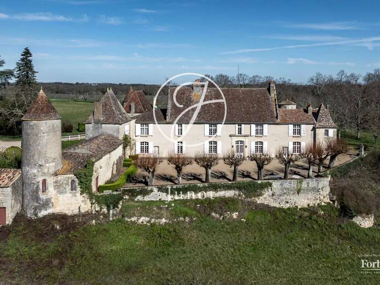 Château Castillon-la-Bataille - 8 chambres - 1749m²