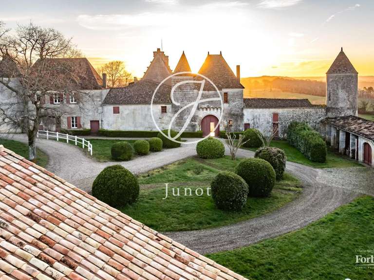 Château Castillon-la-Bataille - 8 chambres - 1749m²