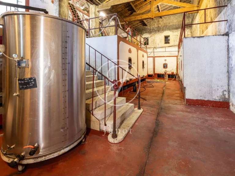 Château Castillon-la-Bataille - 8 chambres - 1749m²