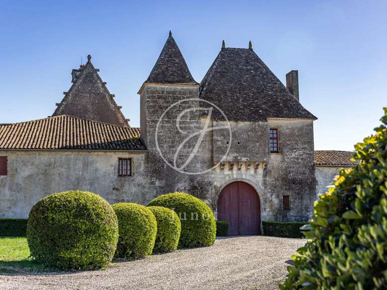 Château Castillon-la-Bataille - 8 chambres - 1749m²