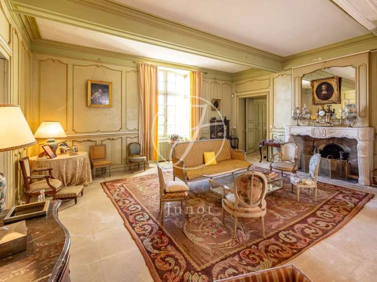 Château Castillon-la-Bataille - 8 chambres - 1749m²