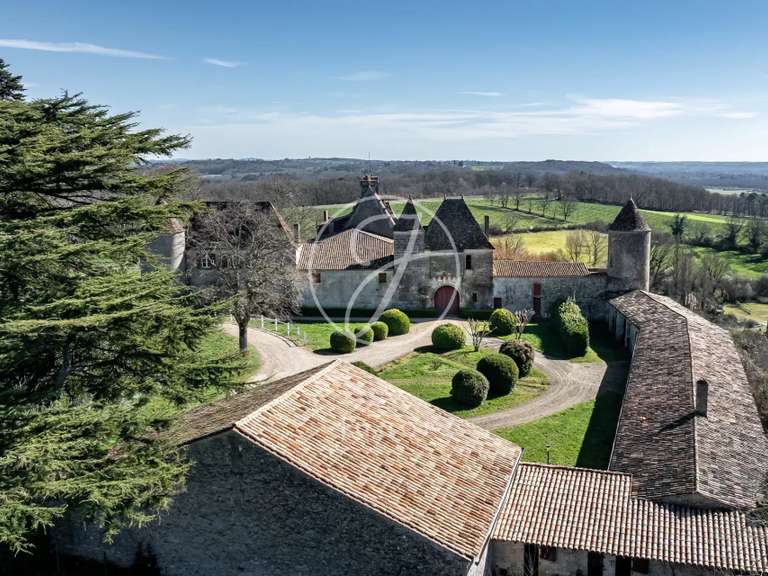 Château Castillon-la-Bataille - 8 chambres - 1749m²
