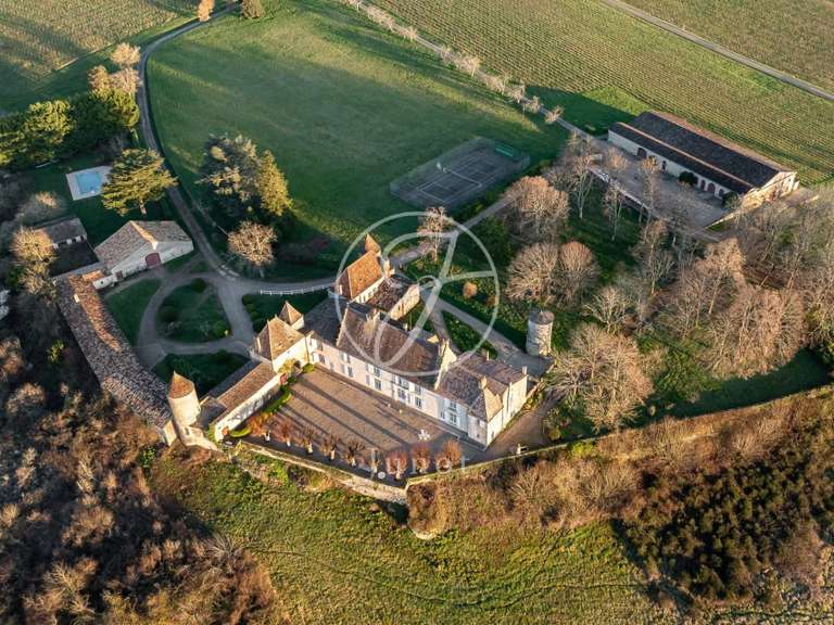 Château Castillon-la-Bataille - 8 chambres - 1749m²