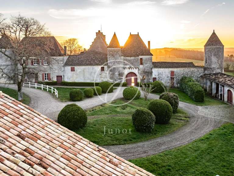 Château Castillon-la-Bataille - 8 chambres - 1749m²