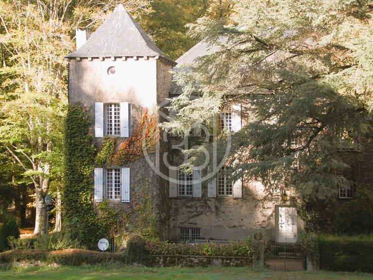 Sale Castle Castres - 7 bedrooms