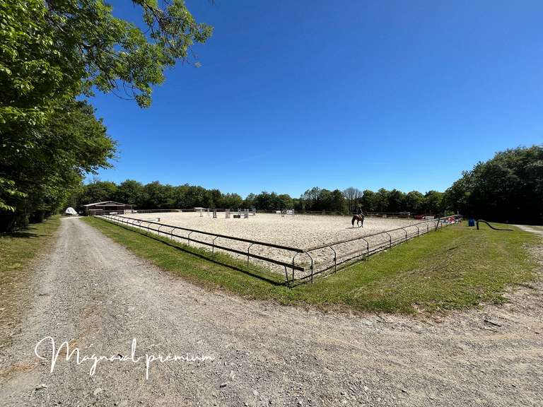 Maison Castres - 17 chambres - 800m²