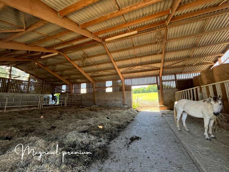 Maison Castres - 17 chambres - 800m²