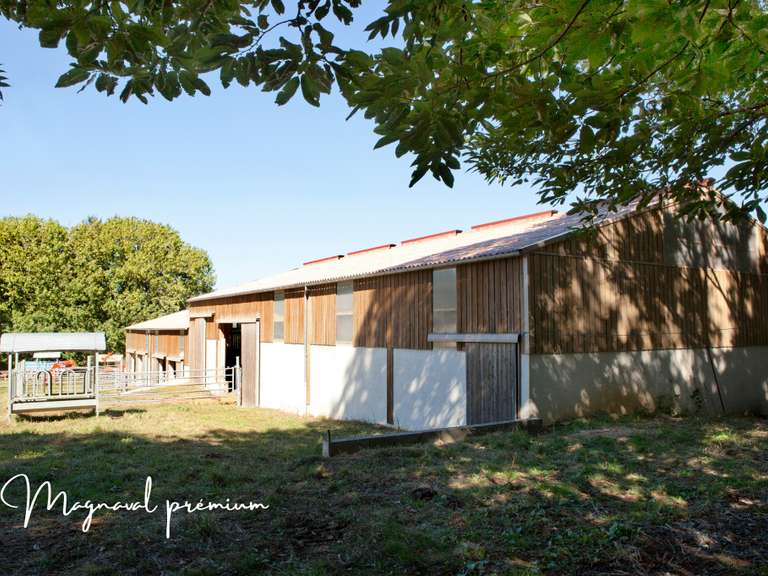 Maison Castres - 17 chambres - 800m²