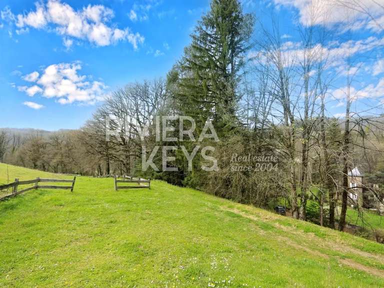 Manor Castres - 5 bedrooms - 941m²