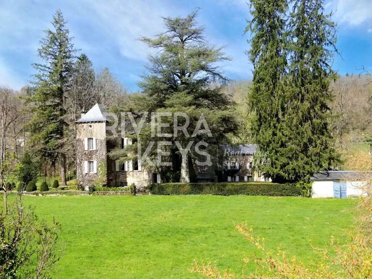 Manor Castres - 5 bedrooms - 941m²