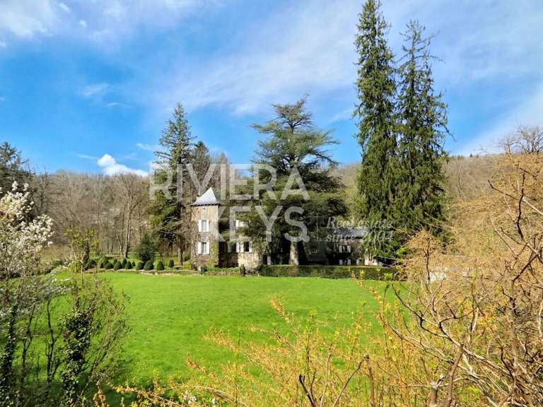 Manor Castres - 5 bedrooms - 941m²