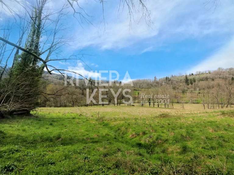 Manor Castres - 5 bedrooms - 941m²