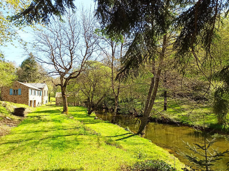 Vente Propriété Castres - 5 chambres