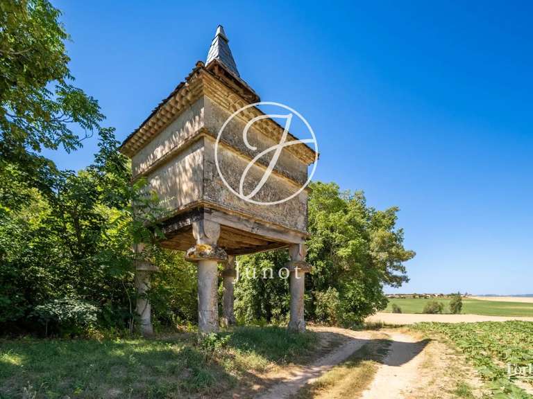 Property Castres - 11 bedrooms - 778m²