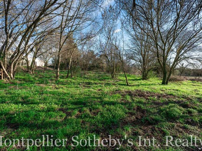 Maison Castries - 3 chambres - 342m²