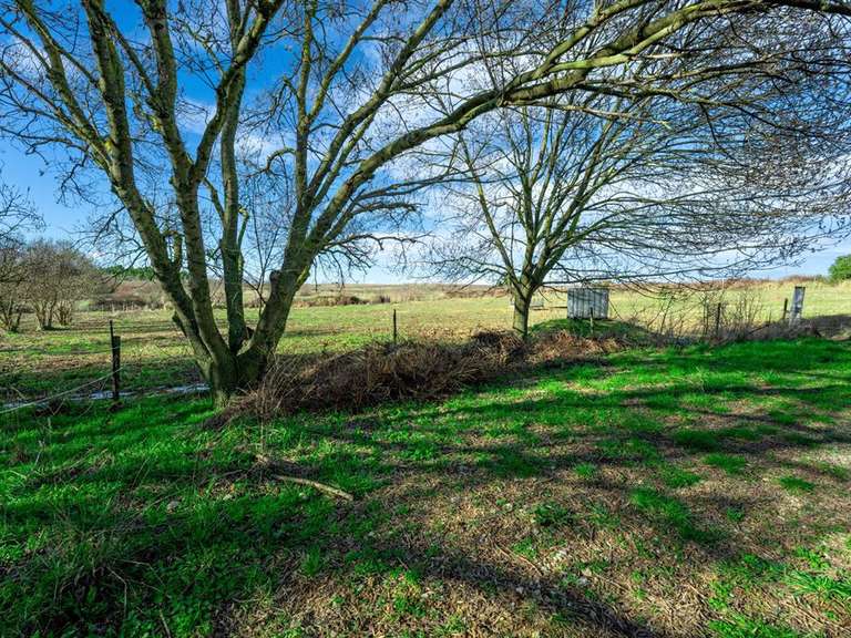 Maison Castries - 3 chambres - 342m²