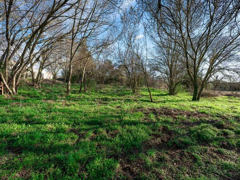 Maison Castries - 3 chambres - 342m²