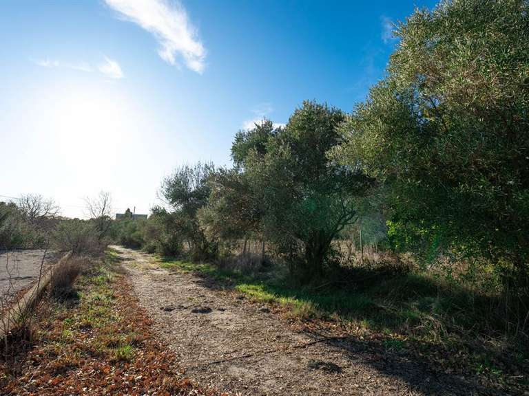 Maison Castries - 3 chambres - 342m²