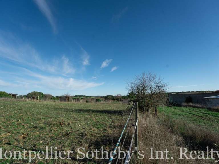Maison Castries - 3 chambres - 342m²