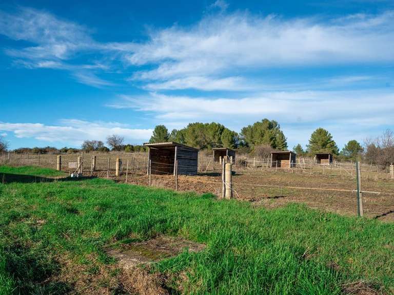 Maison Castries - 3 chambres - 342m²