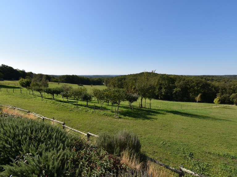 Maison Catus - 4 chambres - 294m²