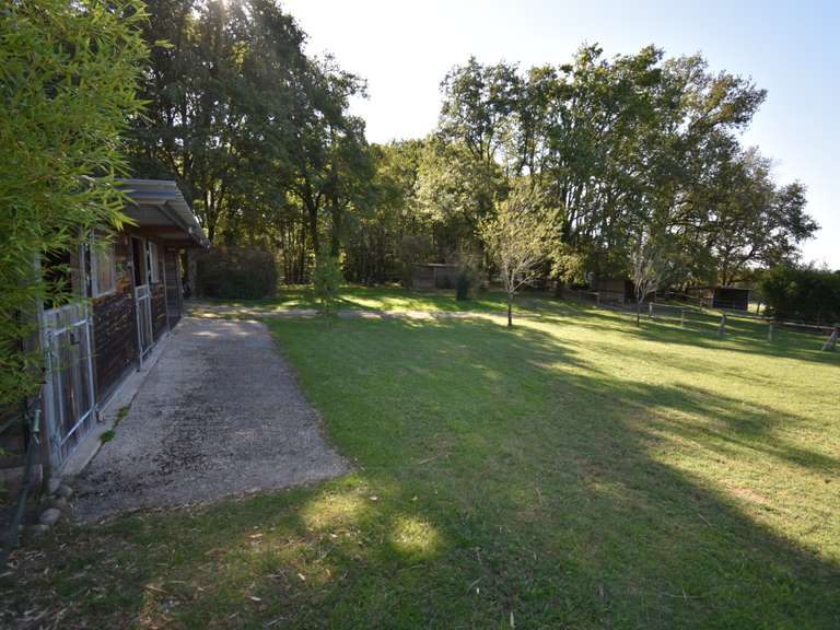 Maison Catus - 4 chambres - 294m²