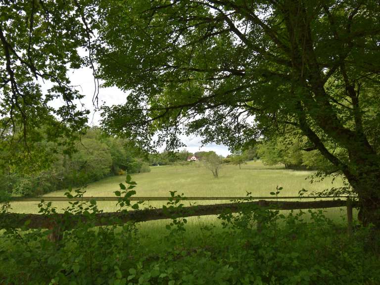 Maison Catus - 4 chambres - 294m²