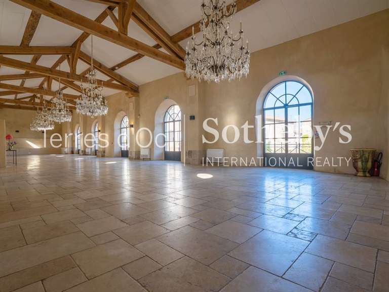 Château Caunes-Minervois - 13 chambres - 1117m²