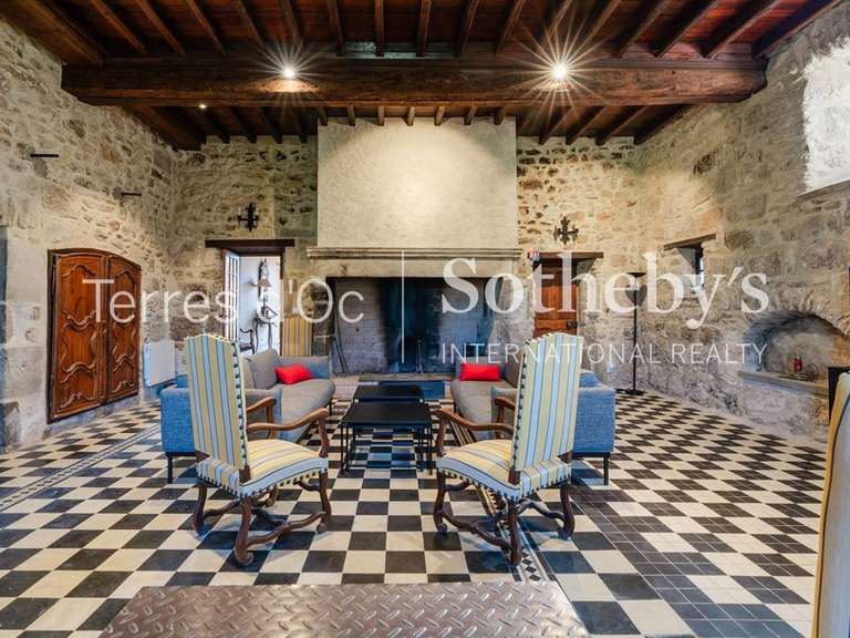 Château Caunes-Minervois - 13 chambres - 1117m²